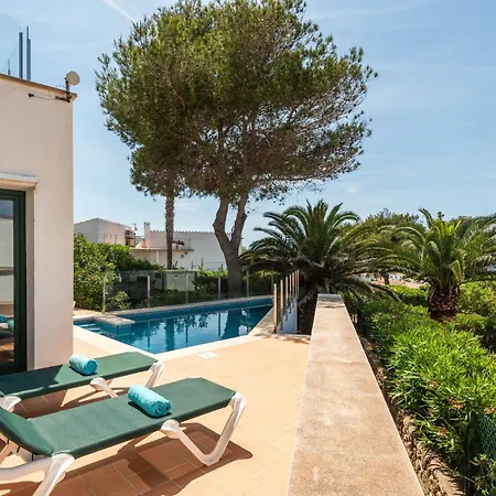 Vela Llatina - Vell *