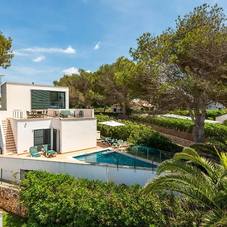 Vela Llatina - Vell *