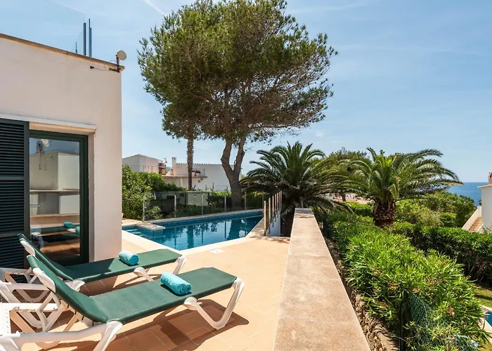 Vela Llatina - Vell *