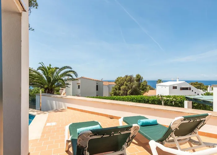 Vela Llatina - Vell *