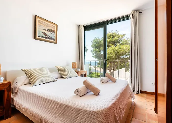 Vela Llatina - Vell ביניבקה