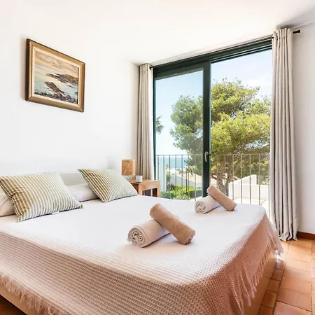 Vela Llatina - Vell 비니베카