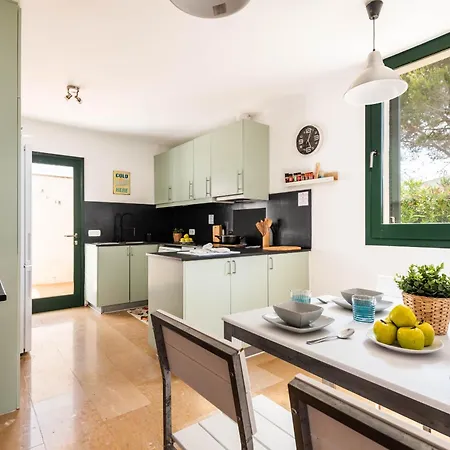 Vela Llatina - Vell * 비니베카