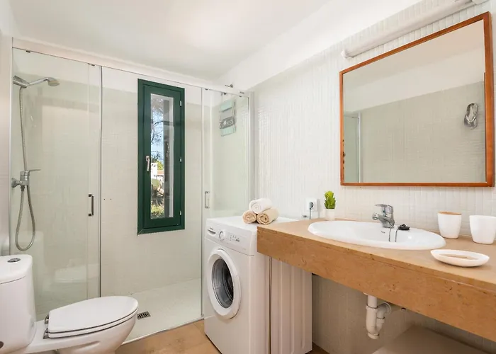 Vela Llatina - Vell *