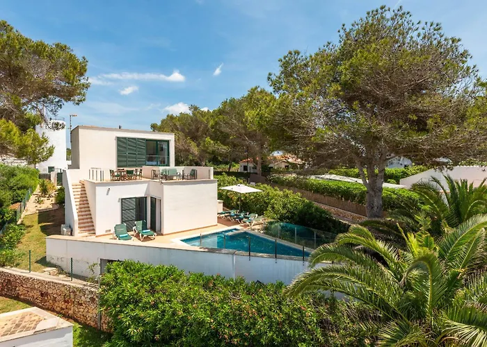 Vela Llatina - Vell *